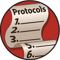 Zeitlinger Lab Protocols